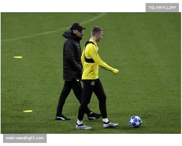 解析俄勒冈大学进攻体系 阵容轮换成效初显